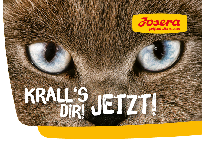 Josera Katzenfutter Proben Jetzt Kostenlose Futterproben Bestellen